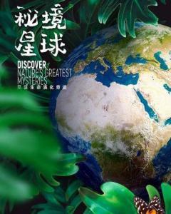 86岁北大老奶奶的人间清醒：独居，不抢救