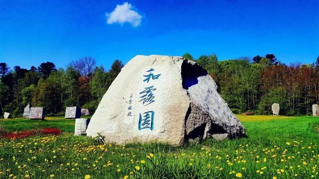 腰酸背痛、精神不振如何调养?没事跑跑步,您或许有4个变化