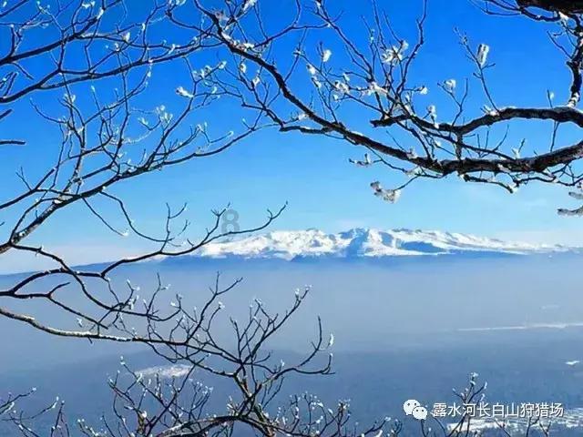 怎么画打乒乓球的样子游戏画面