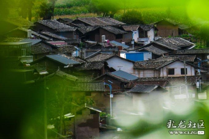移动的靶心5