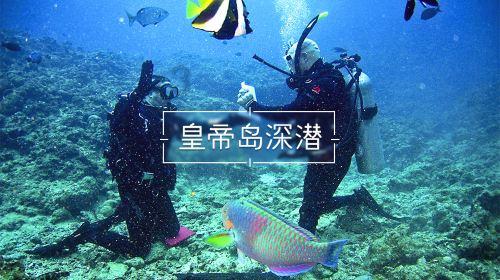 僵尸辨色球