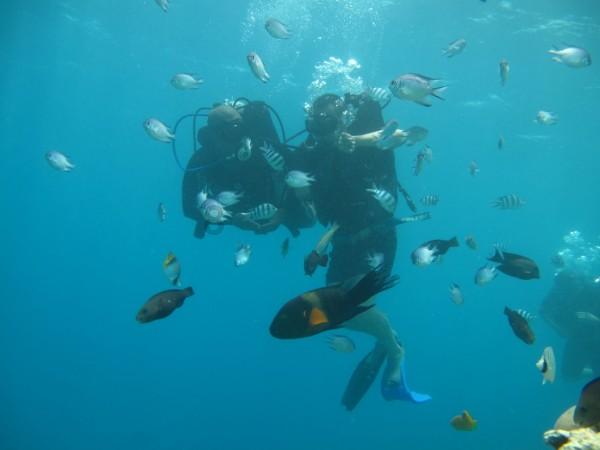 受冷空气影响 发布海浪蓝色警报 同时发布今冬第10期海冰蓝色警报 预计辽东湾浮冰范围70~80海里