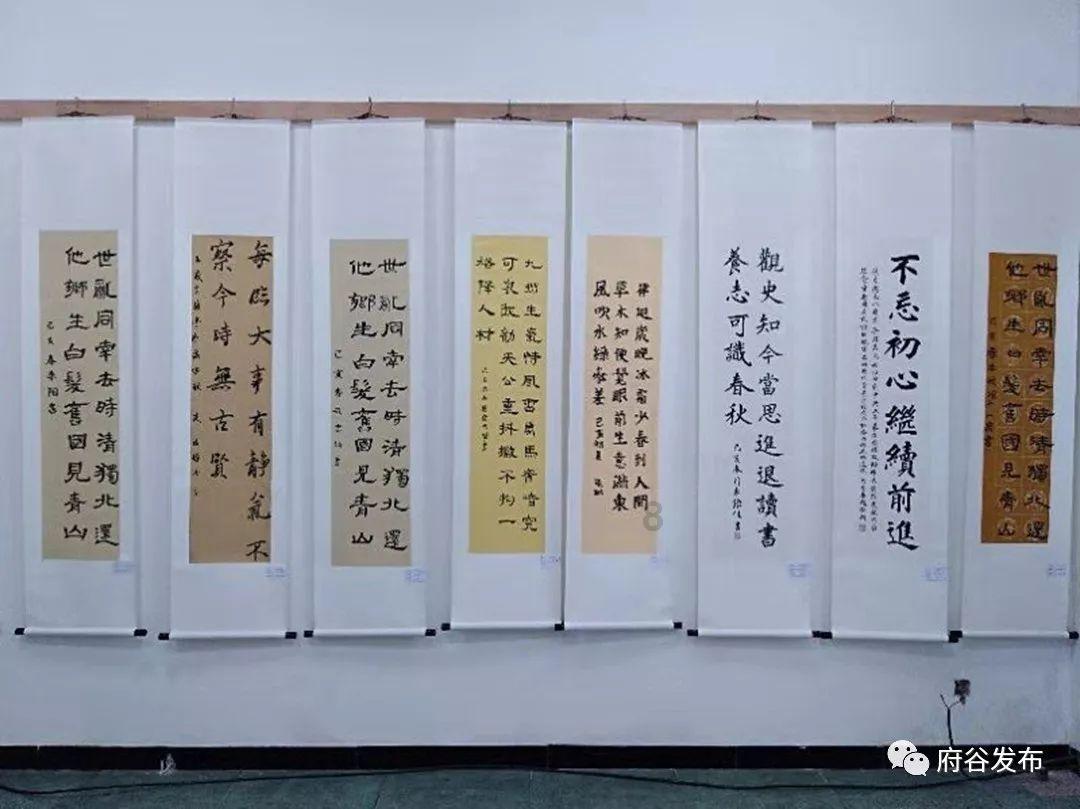 小熊救援
