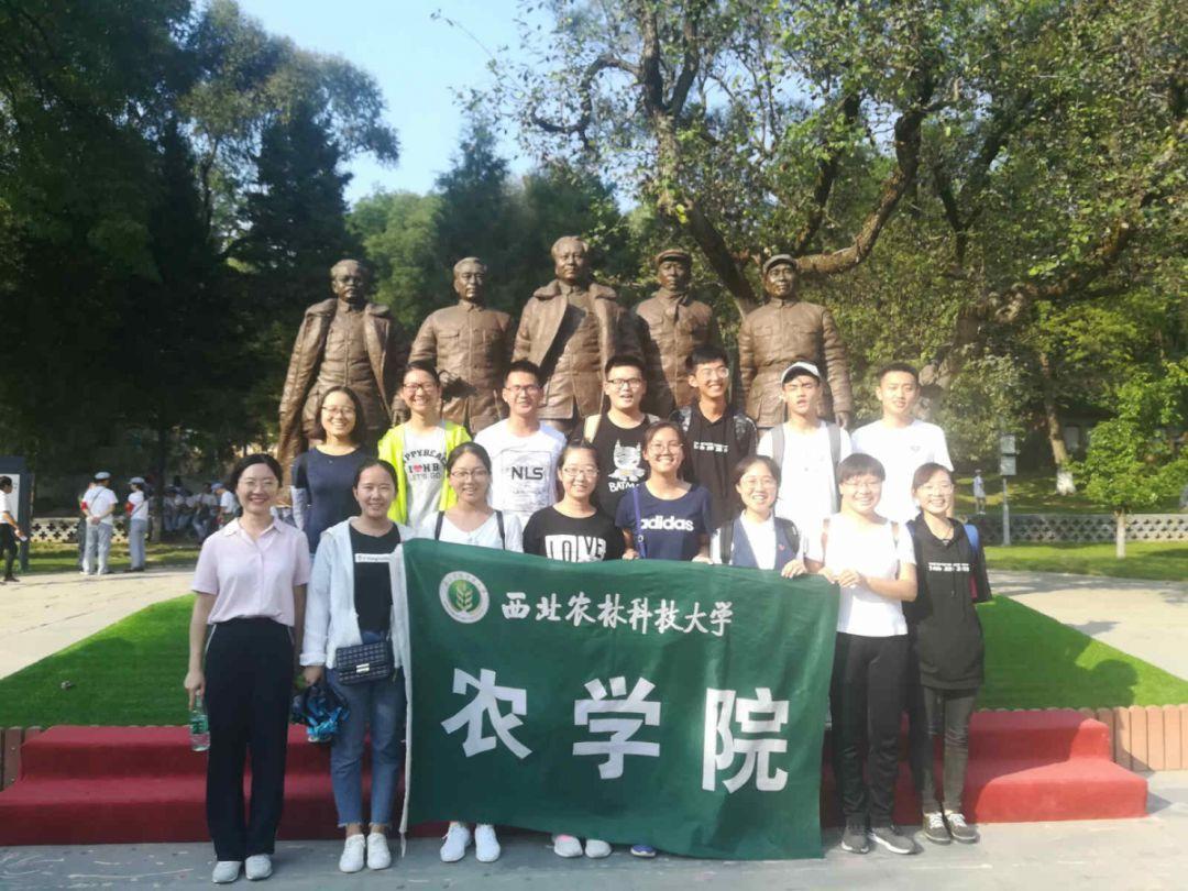 极限摩托车大赛选关版