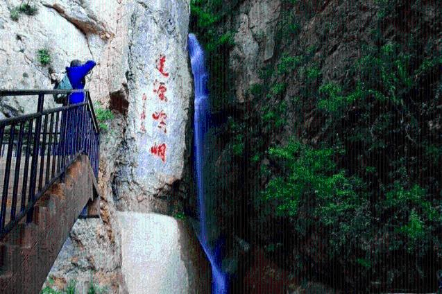拯救红松鼠