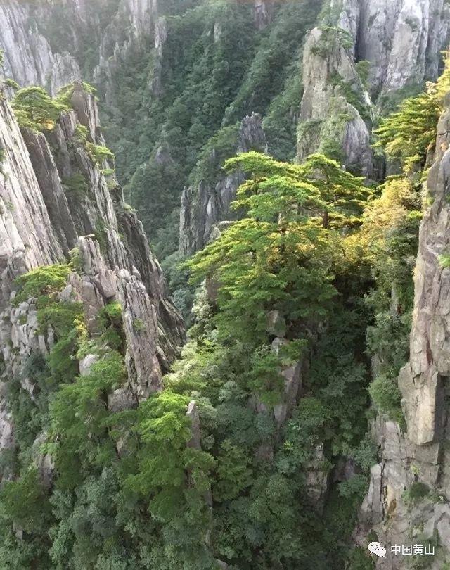 柳州曙光妇科医院开拓创新,建设新形象