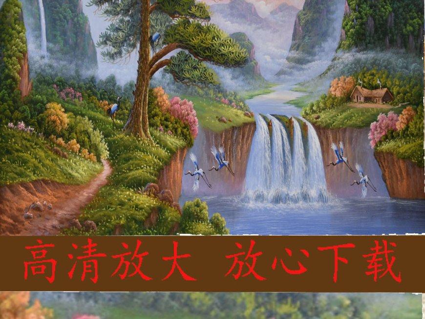 五彩鹦鹉救援