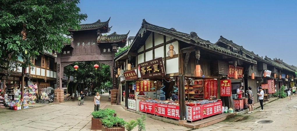 救援花栗鼠