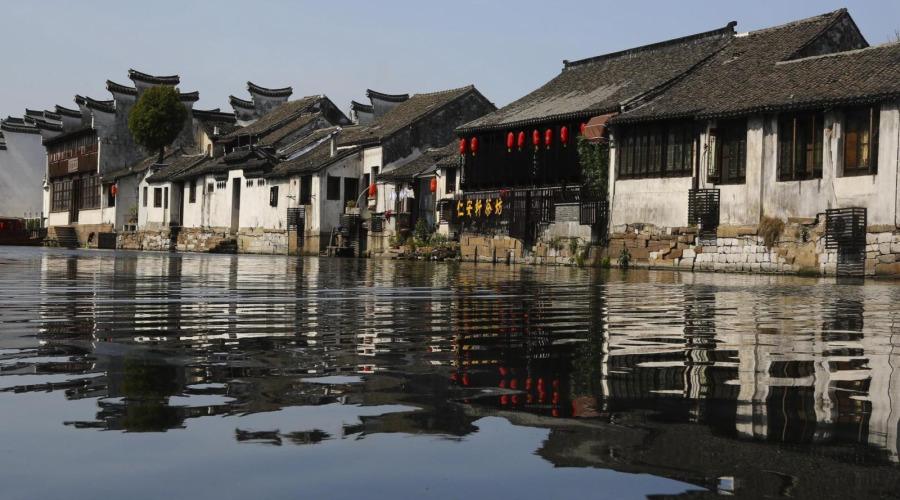 动物帮帮忙保卫家园