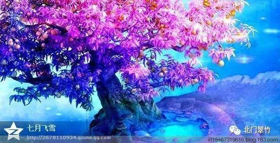 广东1100多岁古榕树倒塌,古榕树还能被抢救回来吗?- 专业的有问必答平台