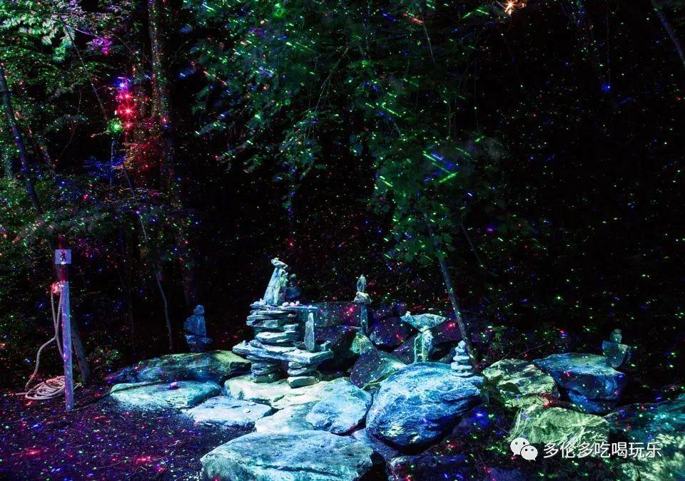 抓住冬天的小尾巴，哈尔滨冰雪之城的奇遇