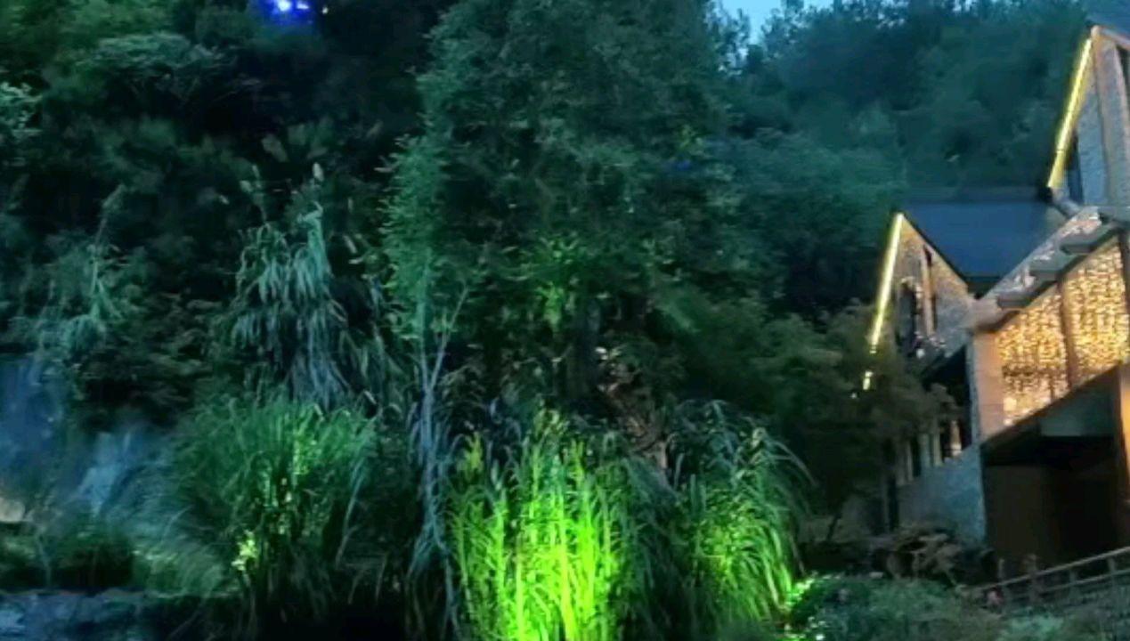 奇幻恐龙世界2